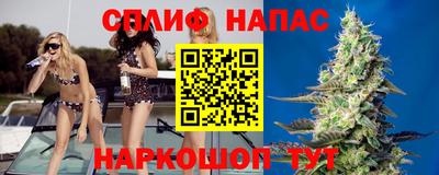 a pvp Кингисепп