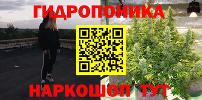 молекула духа Кинель