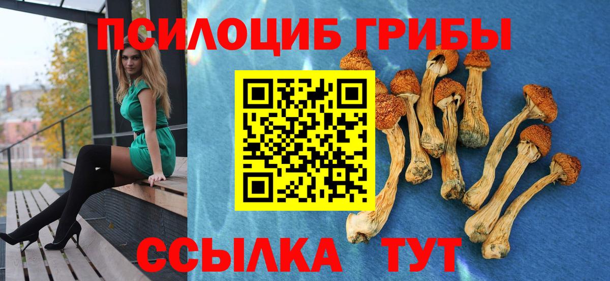 Галлюциногенные грибы Psilocybe Иркутск